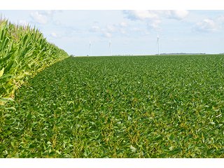 Property photo 2 - 233 +/- Acres Offered in 3 Tracts, Ohio Land Auction